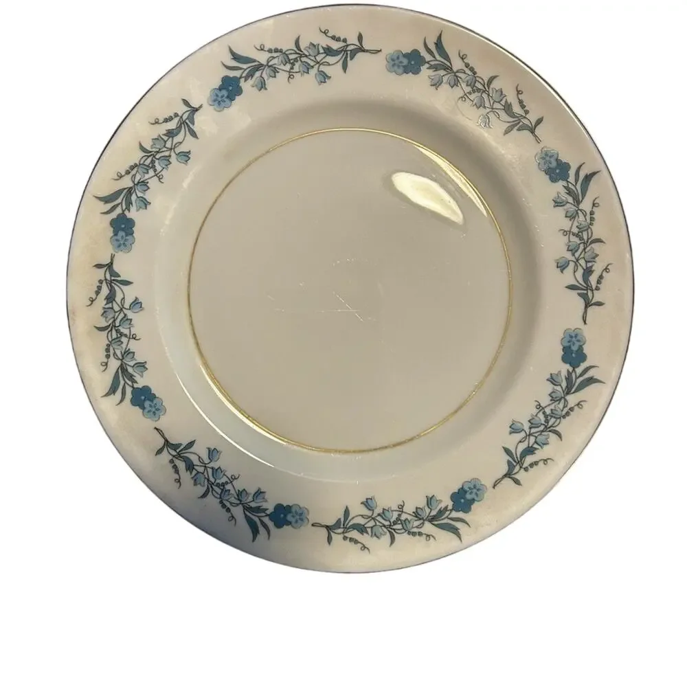 Theodore Haviland New York, Clinton, Set Of 6 Salad/Dessert Plates, 8 1/2”